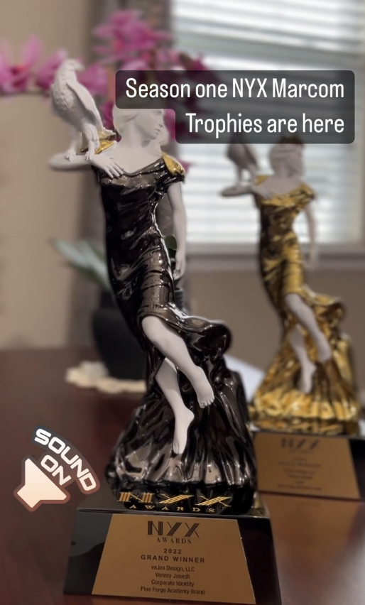 VeJov Design Achieves Grand Winner Success in NYX Awards